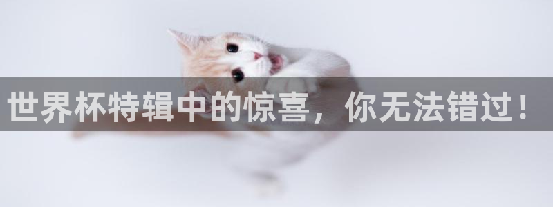世界杯预选赛欧洲区赛程:世界杯特辑中的惊喜,你无法错过!