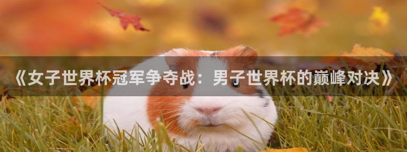 世界杯在线直播:《女子世界杯冠军争夺战:男子世界杯的巅峰对决》