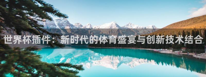 2026 世界杯:世界杯插件:新时代的体育盛宴与创新技术结合