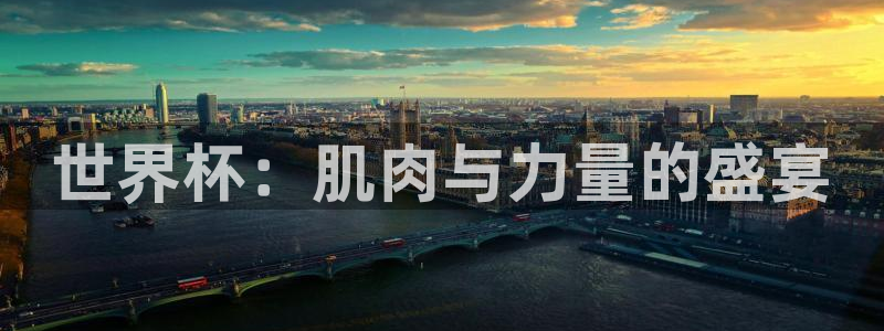 预选赛世界杯:世界杯:肌肉与力量的盛宴