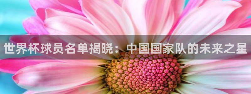 世界杯对阵表:世界杯球员名单揭晓:中国国家队的未来之星