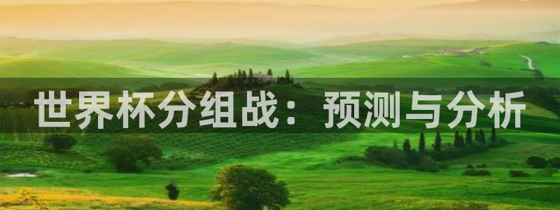 世界杯足球赛2026:世界杯分组战:预测与分析