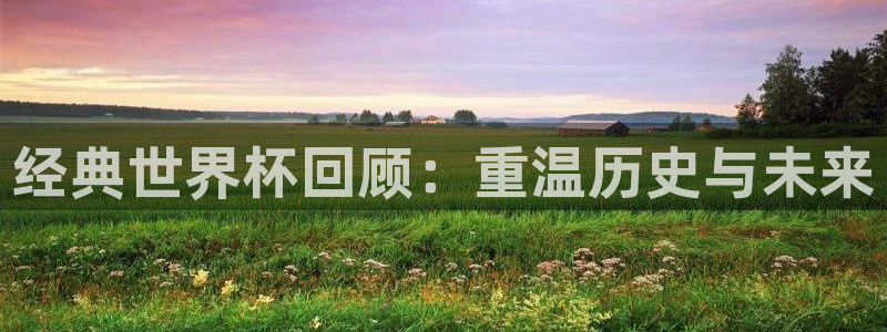 欧联杯直播:经典世界杯回顾:重温历史与未来