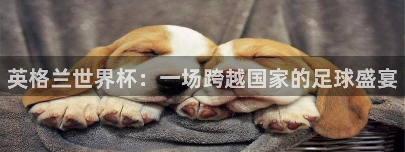2026世界杯直播免费观看:英格兰世界杯:一场跨越国家的足球盛宴