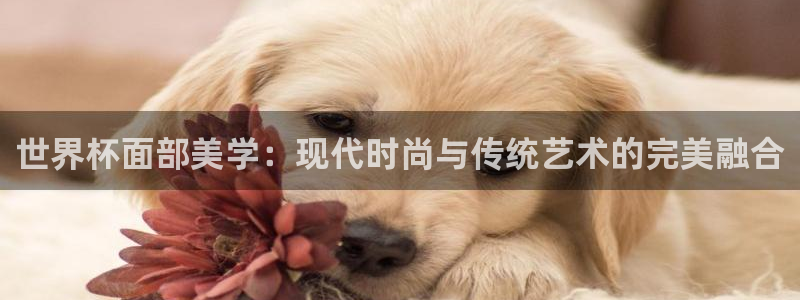 2026年足球世界杯赛程时间表:世界杯面部美学:现代时尚与传统艺术的完美融合